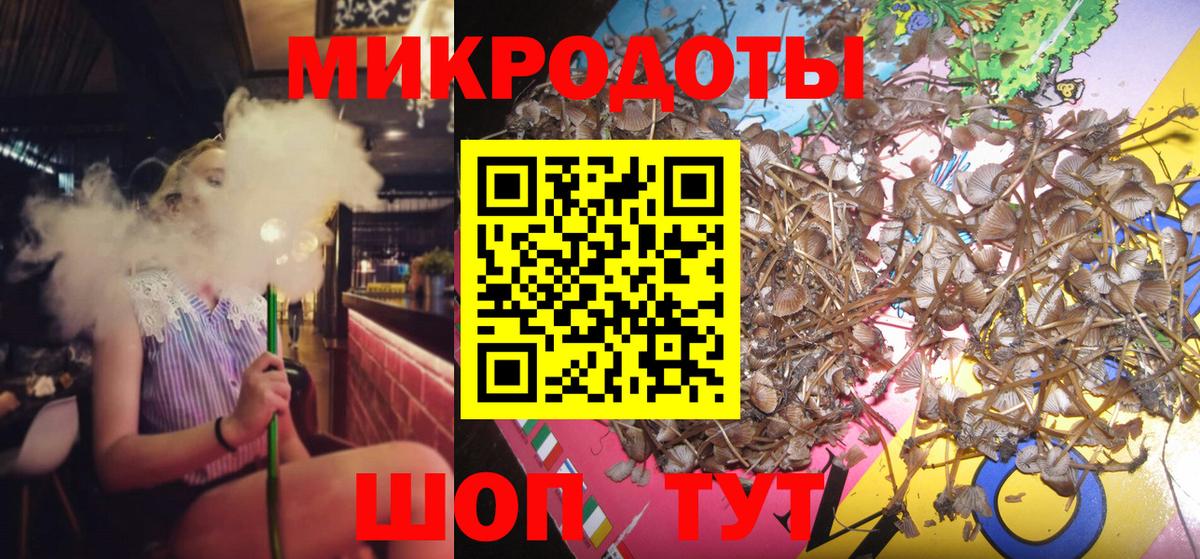 ЭКСТАЗИ Луга
