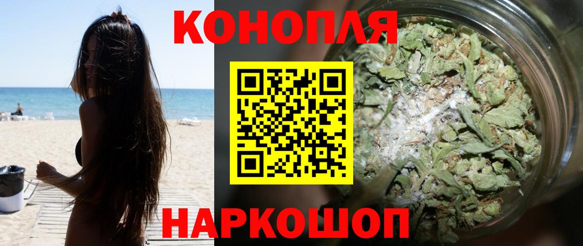 Канабис планчик Луга